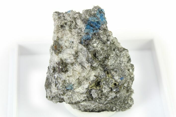 Vibrant Blue Hauyne with Sanidine and Augite - Germany #317196